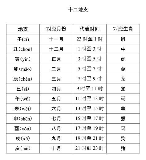 何謂十天干|十天干十二地支